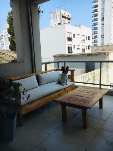 Apartamento Departamento De Categor�a