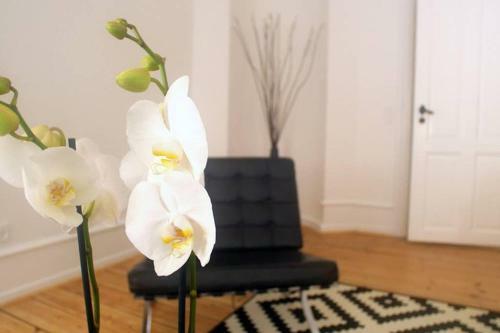 Apartamento Next To New Harbor / 3 Br & 2 Bath Rooms