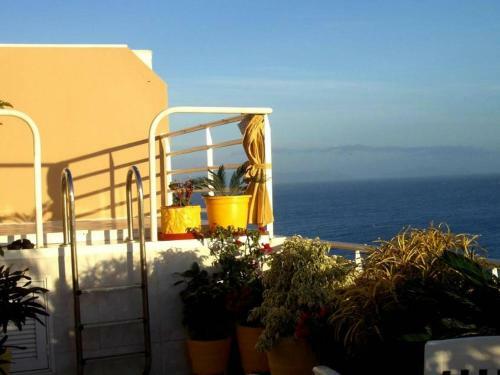 Apartamento Penthaus Villa Erika Madeira