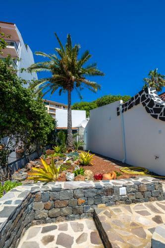 Casa Maravilha III