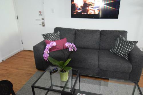 Venice Beach Apartments Monthly Rents