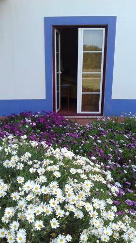 Hostal Monte Sol'ar Do Farol By Stay In Alentejo