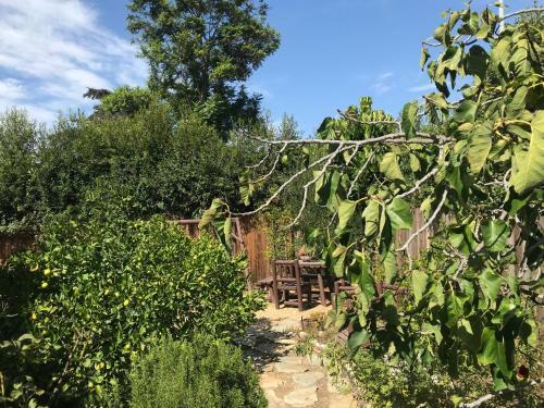 Prime Location Three Bedroom Beautiful Villa