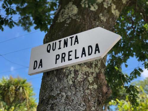 Casa Da Quinta Da Prelada Sim�o Partie Basse
