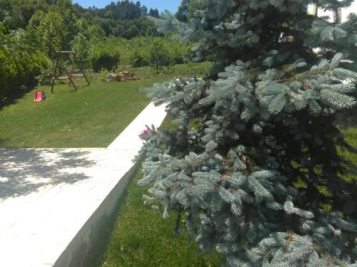 Villa - Garden & Pool