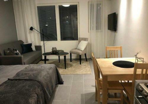 Apartamento Ski Studio Levi