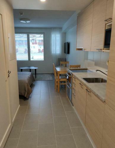 Apartamento Ski Studio Levi