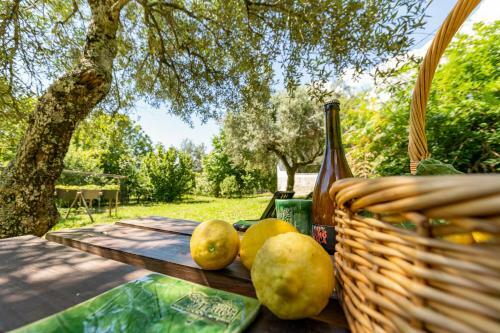 Villa Casa Da Eira "lavoura Da Bou�a - Fruta Bio"