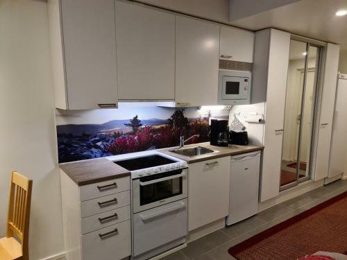 Apartamento Levibooking Lost In Levi Apt 305