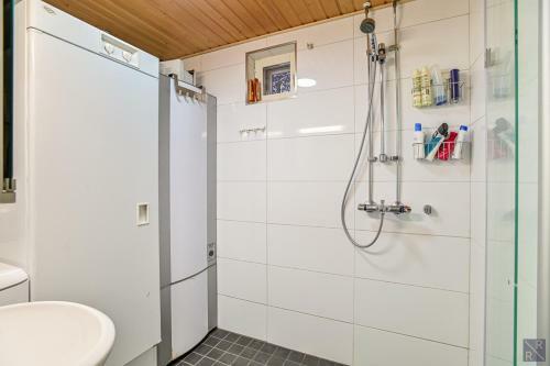 Stara Apartments Levi, Free Skiing Ticket,1pcs, For Customers!