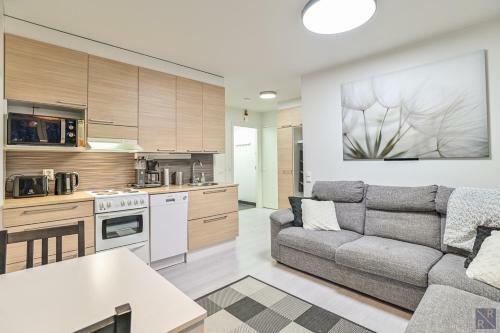 Stara Apartments Levi, Free Skiing Ticket,1pcs, For Customers!