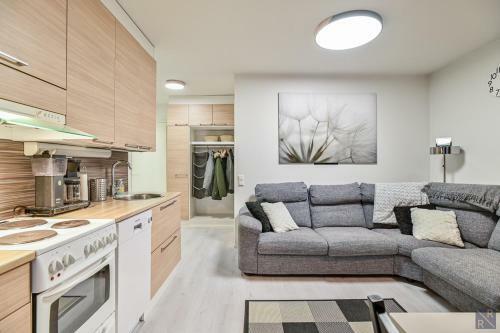 Stara Apartments Levi, Free Skiing Ticket,1pcs, For Customers!