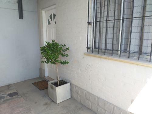 Apartamento Indalo Departamento