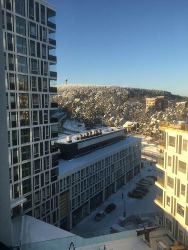 Apartamento Aseman Portti