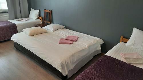 Center Hostel Kaatrahovi