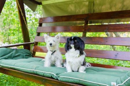 Poppelstrand Nuuksio, Pet Friendly Guest Apartment