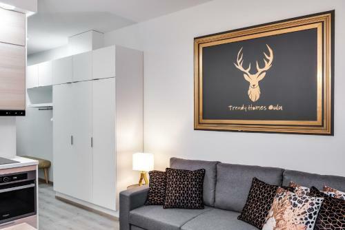 Trendy Homes Oulu Marski Apartments