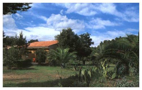Apartamento Domaine De L'avidanella