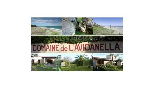 Apartamento Domaine De L'avidanella