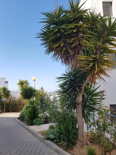 Apartamento Casa Da Ana