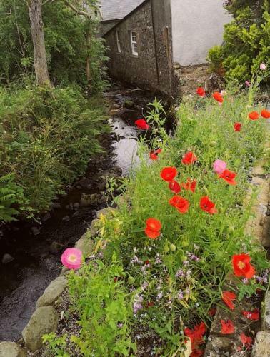Riverside Cottage At Logwood Mill County Antrim