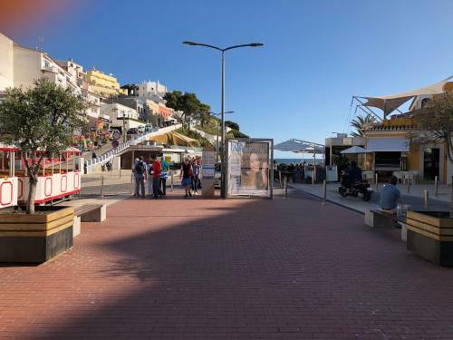 Apartamento Cardoso Beirao