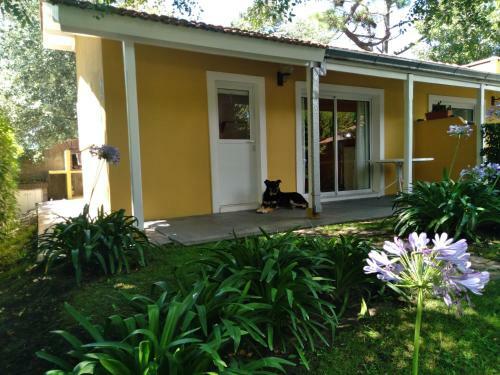 Apartamento Pucar�