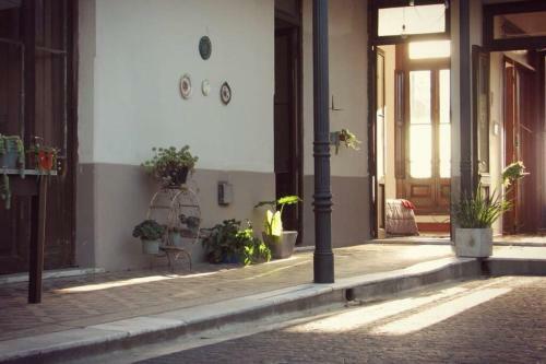 Casona De Loreto - Un Lugar De Alto Vuelo.
