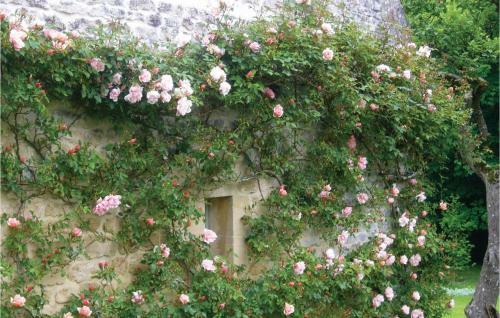 Holiday Home Rue Du Val de Douet