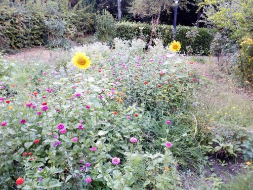 Bed & Breakfast Manoir Du Vieux Cedre
