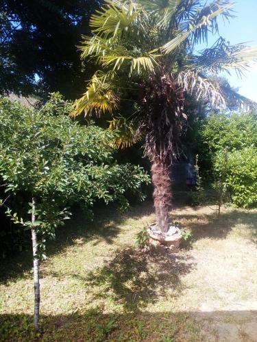 Bed & Breakfast Manoir Du Vieux Cedre