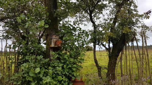 Cosy Cottage On The Causeway Coast And Glens