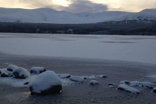 The Snug At The Ski Lodge, Aviemore