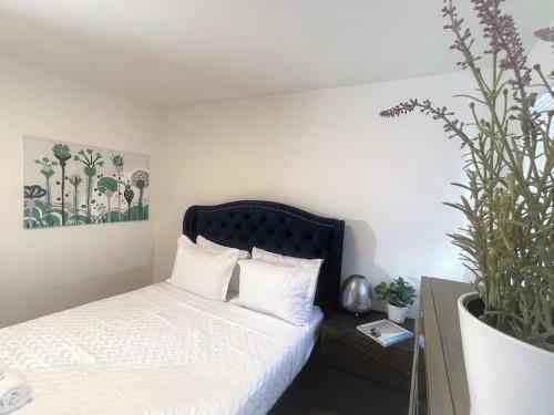 Diamond In Brentwood-lovely 2 Bedroom Private Unit