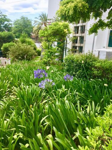 Cascais Seaside Garden Villa