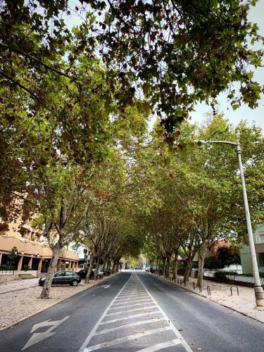 Apartamento Cascais Avenida Loft- By Onartstays