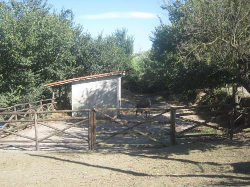 B&B Vaiana