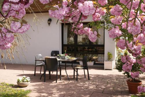 Bed & Breakfast Les Chambres De La Maxe