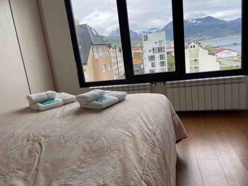 Entire Apartment In Ushuaia Rebate In Physical Dollar