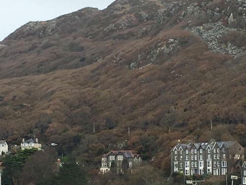 Hostal Bluebells Guest House