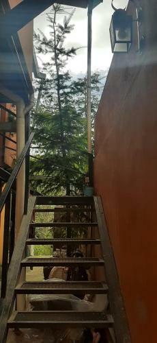 Apartamento Vista A La Monta�a