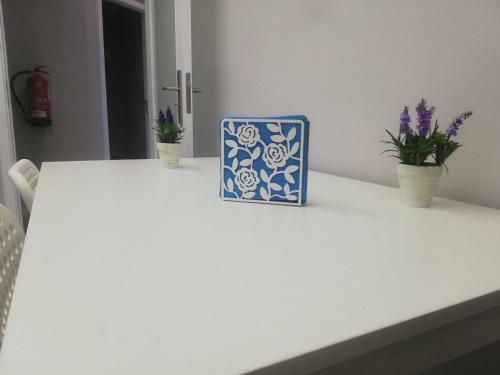 Apartamento Bp Palmilheira