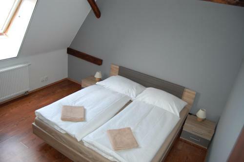 Apartamento Penzion Alfa