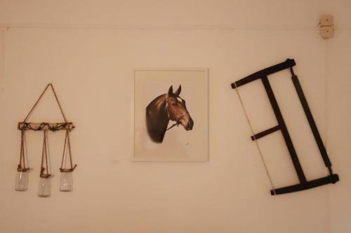 Agroturismo Monte Das Cobras - Country House