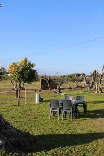 Agroturismo Monte Das Cobras - Country House