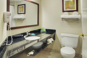 Hotel Holiday Inn - Ottawa Dwtn - Parliament Hill By Ihg