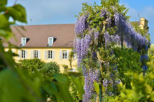 Bed & Breakfast Charmilles Des Cordeliers