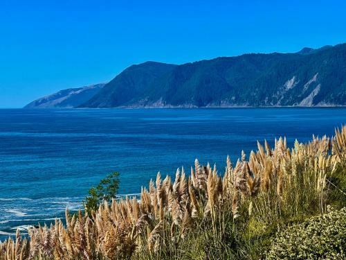 Apartamento Amazing Oceanview, Shelter Cove, Oceanfront!