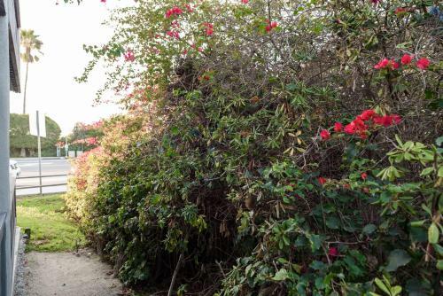 Apartamento Sunny Studio 9 Mins Walk To Del Mar Shores Beach