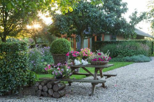 Bed & Breakfast De Wandhorst
